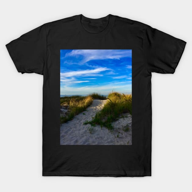 Path to the beach T-Shirt by Dillyzip1202